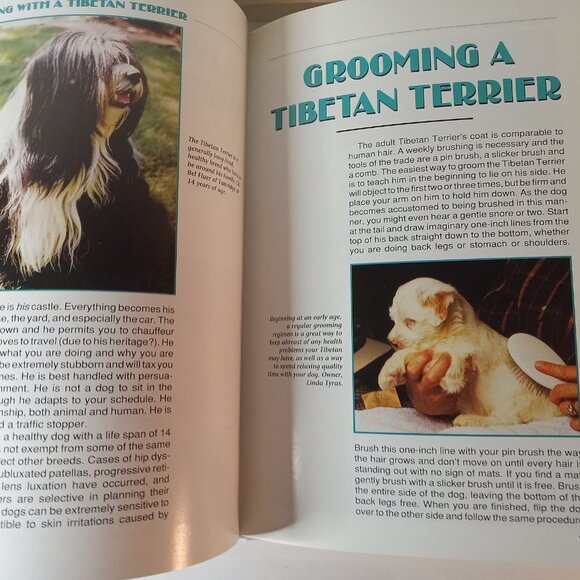Complete Handbook of Tibetan Terrier (Rare Breed) by Keleman, Anne Hardback - Picture 4 of 7